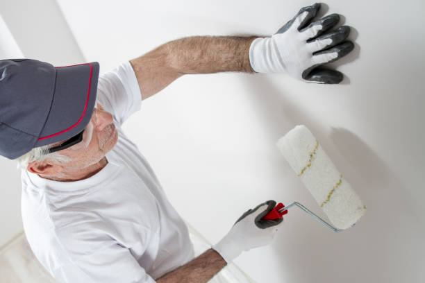 Best Post-Construction Mold Inspection  in South Hutchinson, KS