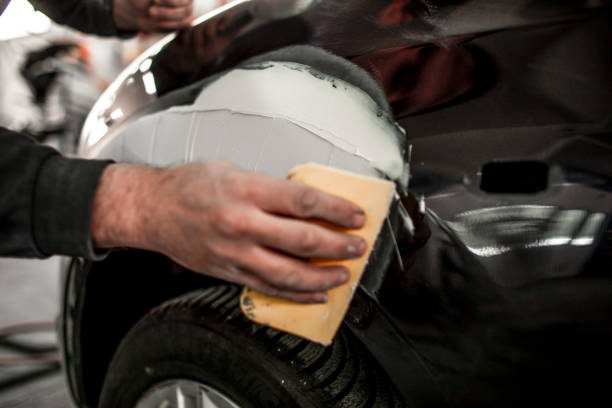 Best Mold Documentation for Insurance Claims  in South Hutchinson, KS
