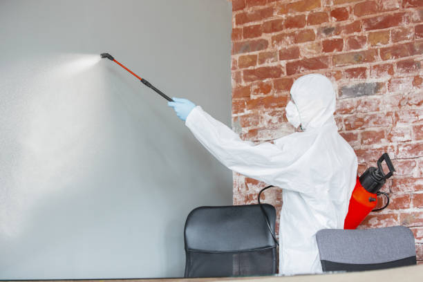 Best Post-Construction Mold Inspection  in South Hutchinson, KS
