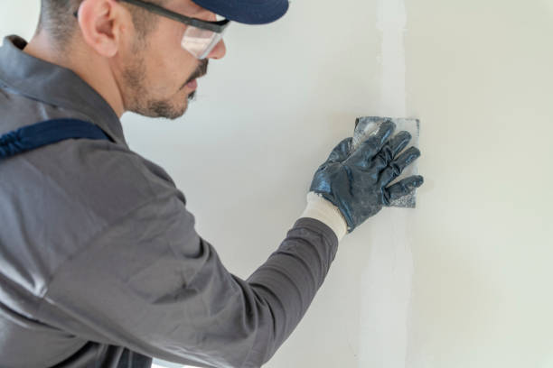 Best Mold Prevention Services  in South Hutchinson, KS