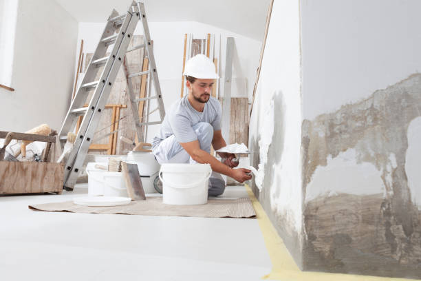 Best Mold Remediation for Healthcare Facilities  in South Hutchinson, KS