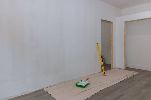 Best Asbestos and Lead Testing During Mold Inspection  in South Hutchinson, KS