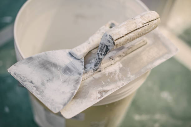 Best Real Estate Mold Inspection  in South Hutchinson, KS