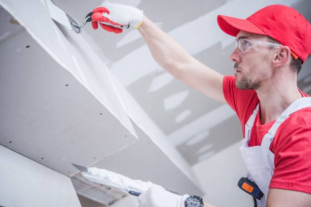 Best Airborne Mold Testing  in South Hutchinson, KS