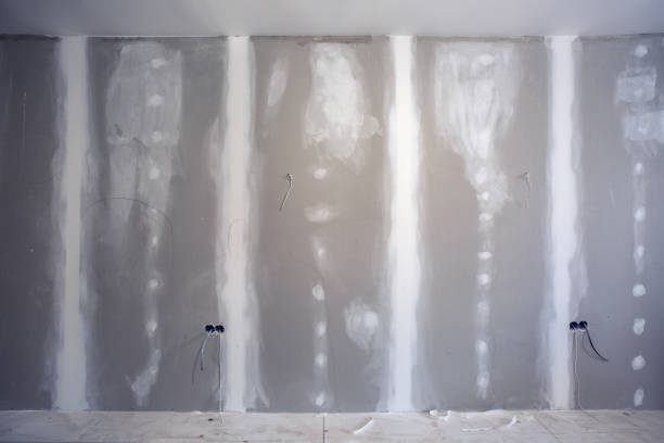 Best Mold Removal for HVAC Installations  in South Hutchinson, KS