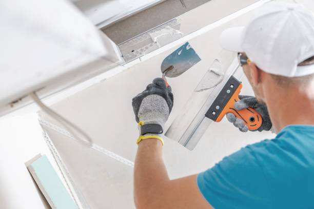 Best Water Damage & Mold Remediation  in South Hutchinson, KS